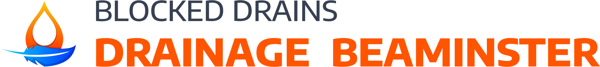 website logo